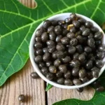 Papaya Seeds